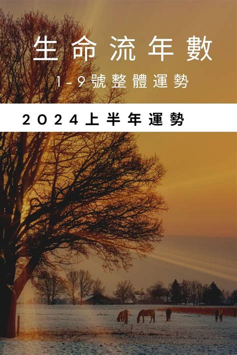 2024年流年運勢|V生命靈數／ 2024上半年【整體運勢】分析&生命流年。